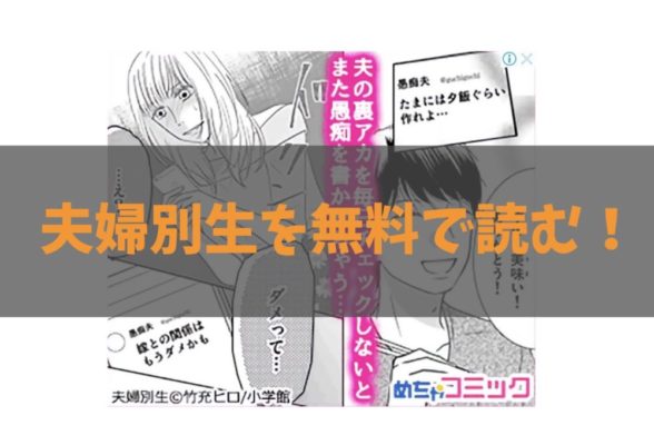 漫画 夫婦別生 姓 の全話を今すぐ無料で読む方法 まんが王国やamazonでは読めない トクトクclub